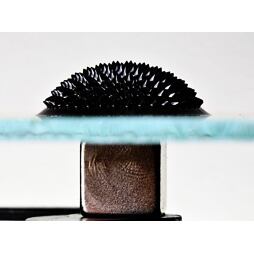 Ferrofluid 10ml